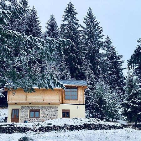 Magia Di Montagna Villa Žabljak Kültér fotó