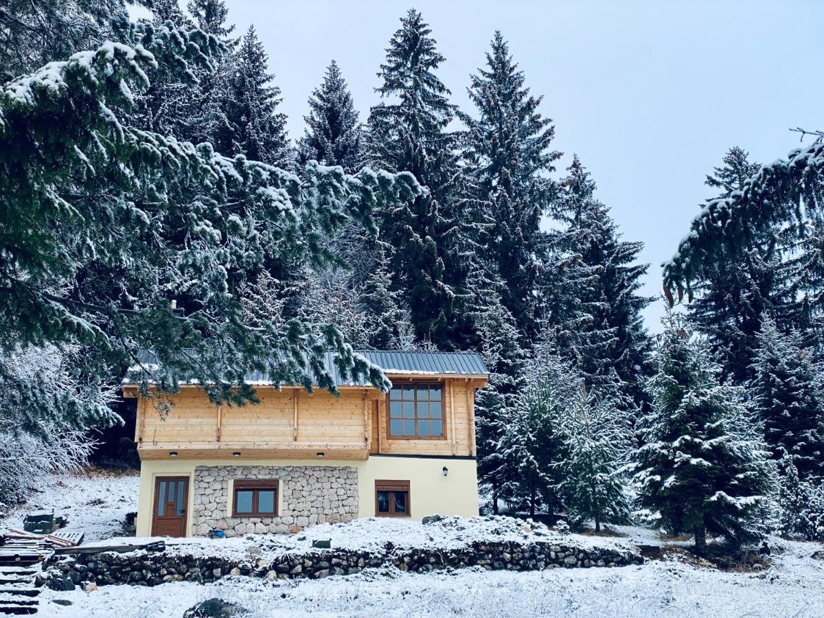 Magia Di Montagna Villa Žabljak Kültér fotó