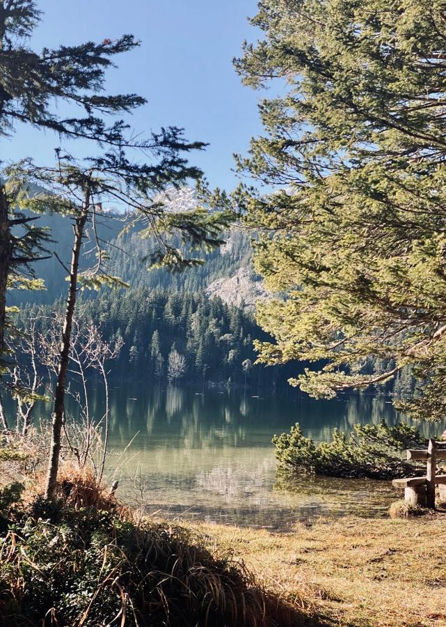 Magia Di Montagna Villa Žabljak Kültér fotó