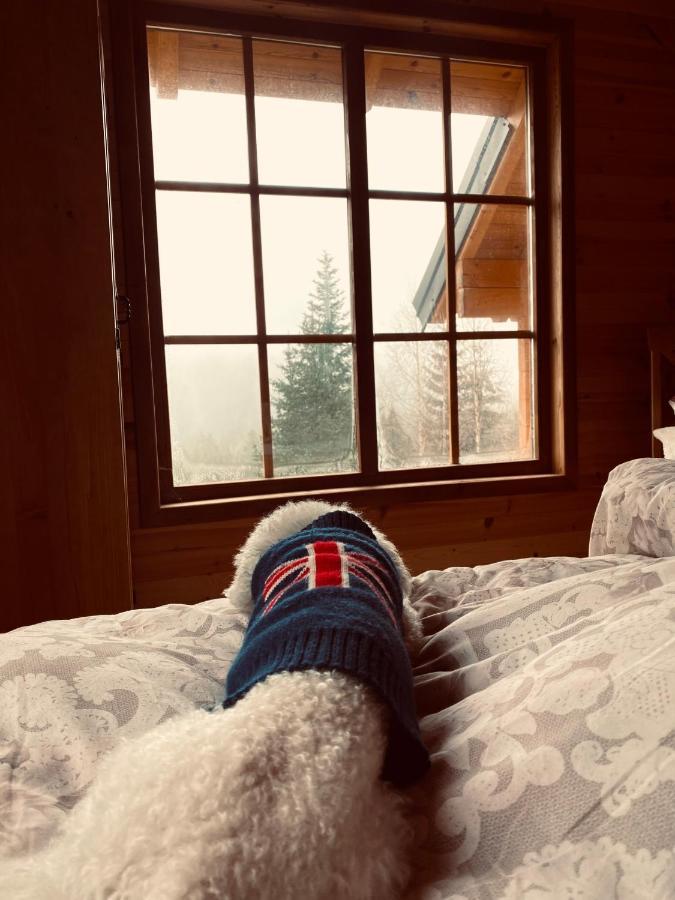 Magia Di Montagna Villa Žabljak Kültér fotó