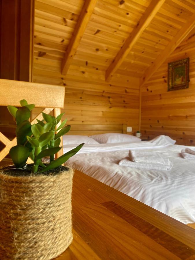 Magia Di Montagna Villa Žabljak Kültér fotó