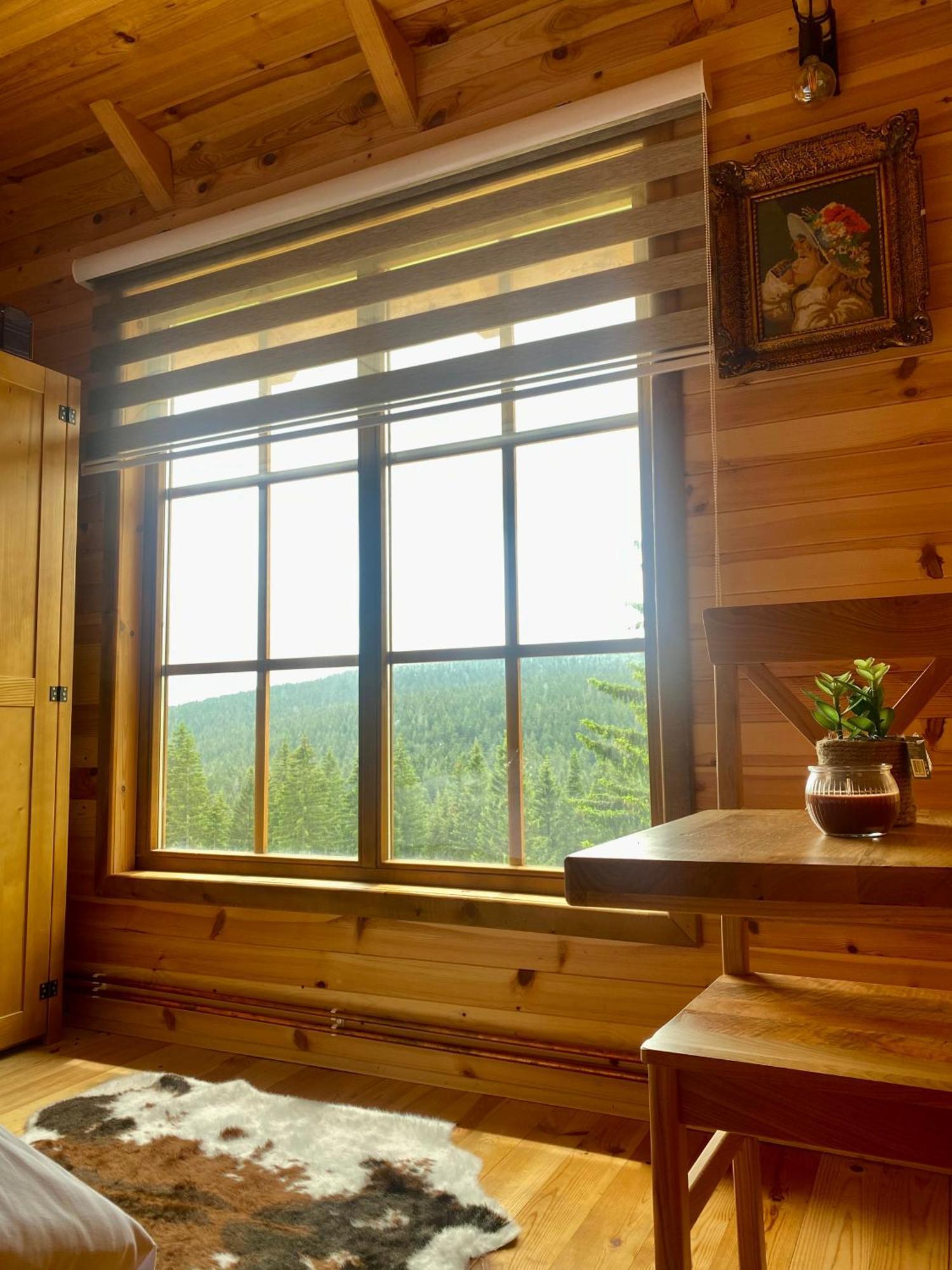 Magia Di Montagna Villa Žabljak Kültér fotó